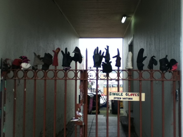 A cute arrangement on a gate blocking an alleyway - single glove speed dating.